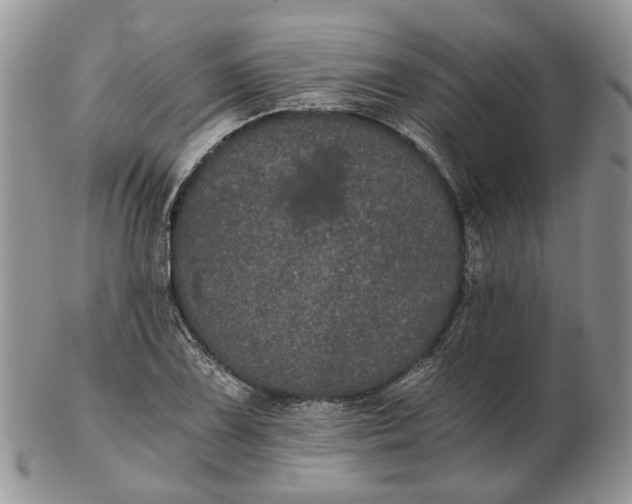 X0000102801075200809021131