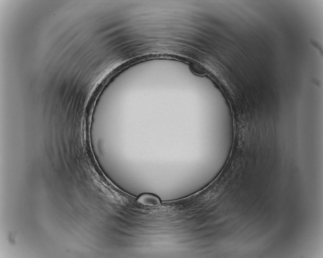 X0000102801076200809021131