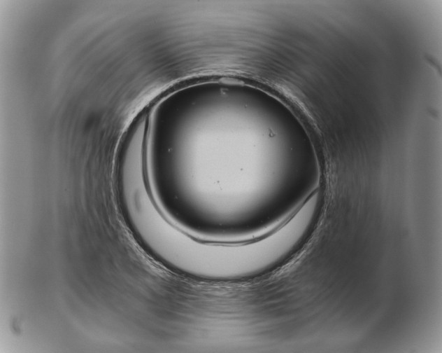 X0000102801077200809021131