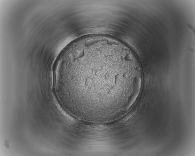 X0000102801079200809021131