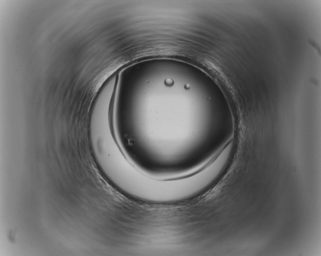 X0000102801081200809021131