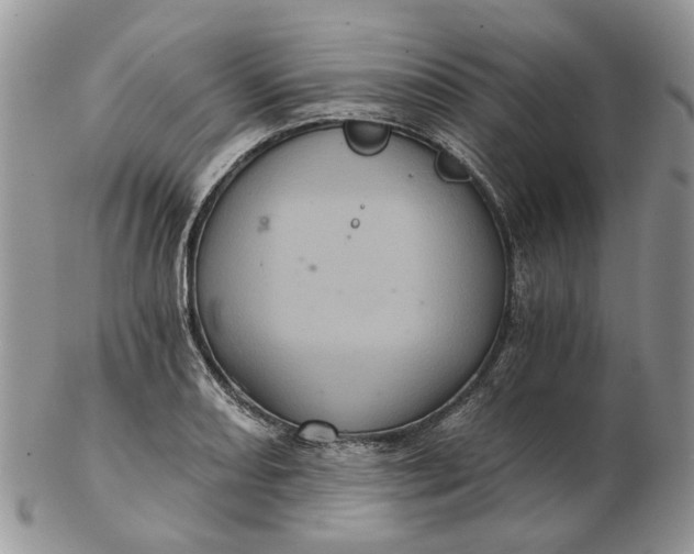 X0000102801082200809021131