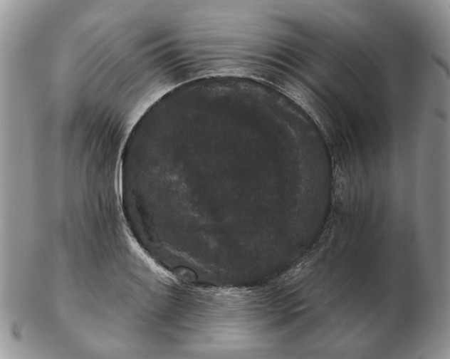 X0000102801084200809021131