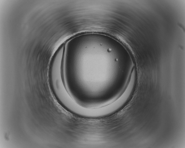 X0000102801085200809021131