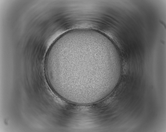 X0000102801086200809021131