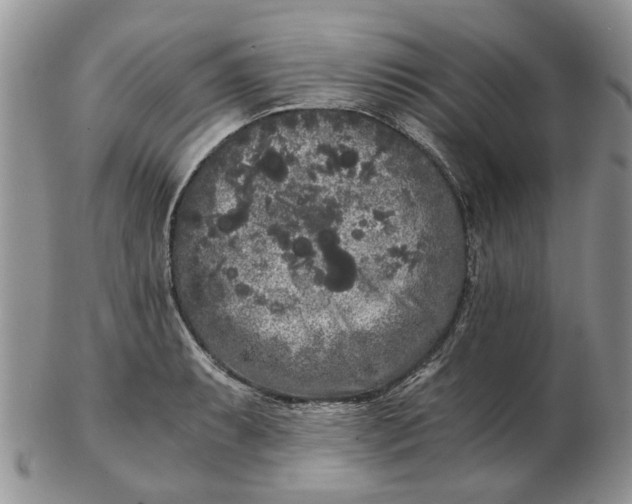 X0000102801087200809021131