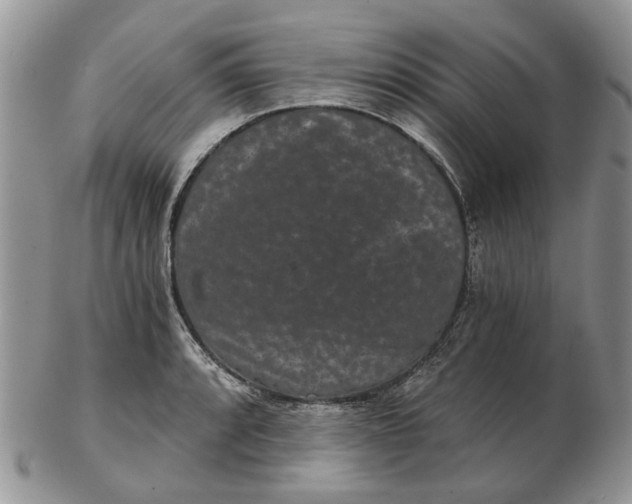 X0000102801088200809021131