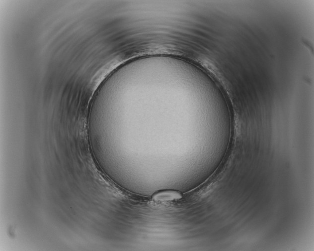 X0000102801089200809021131