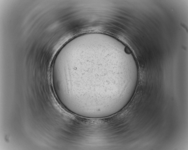 X0000102801090200809021131