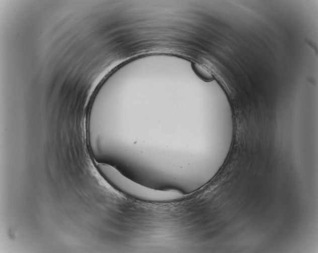 X0000102801092200809021131