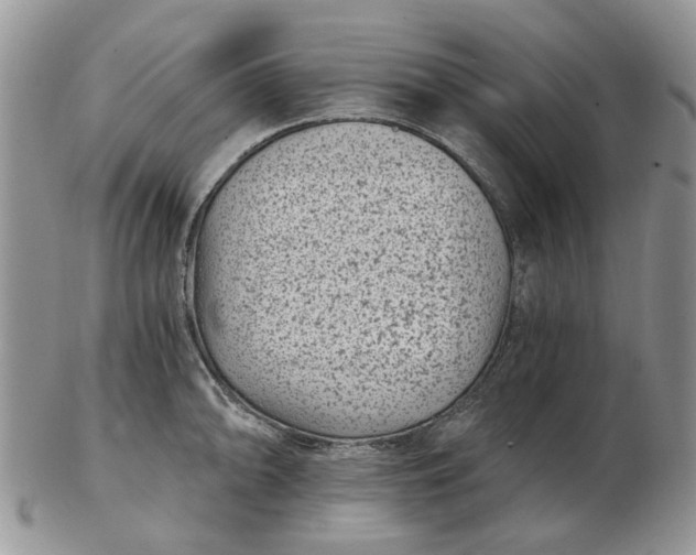 X0000102801094200809021131