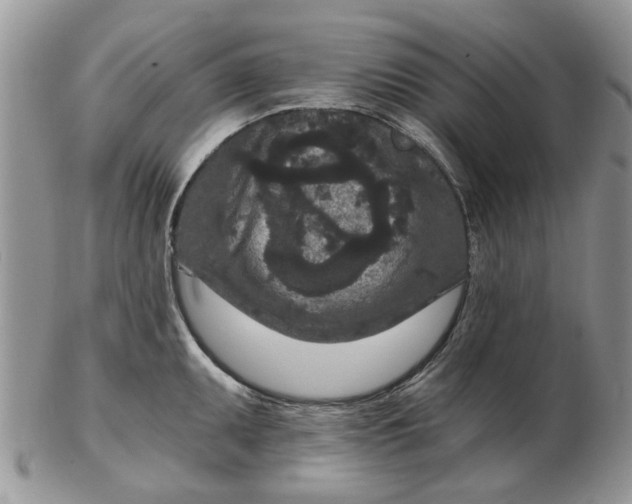 X0000102801095200809021131