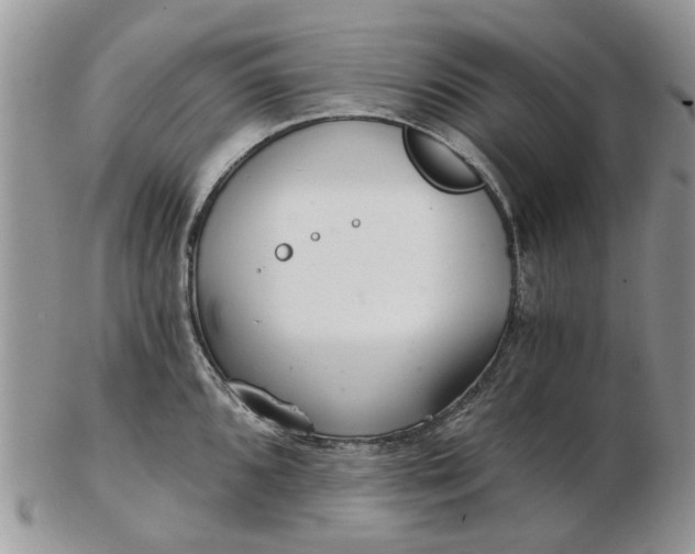 X0000102801096200809021131