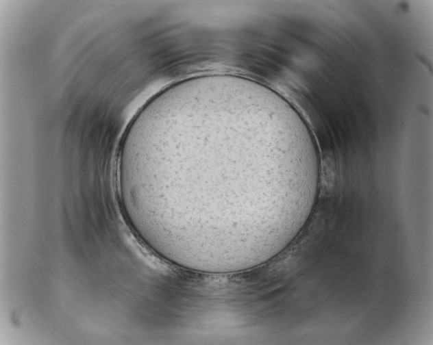 X0000102801098200809021131