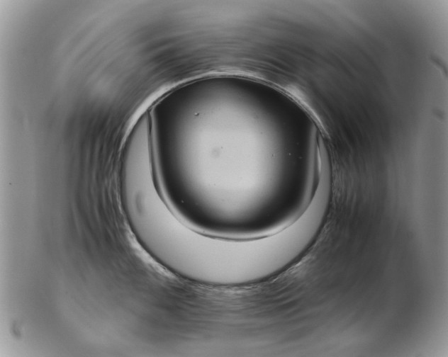 X0000102801100200809021131