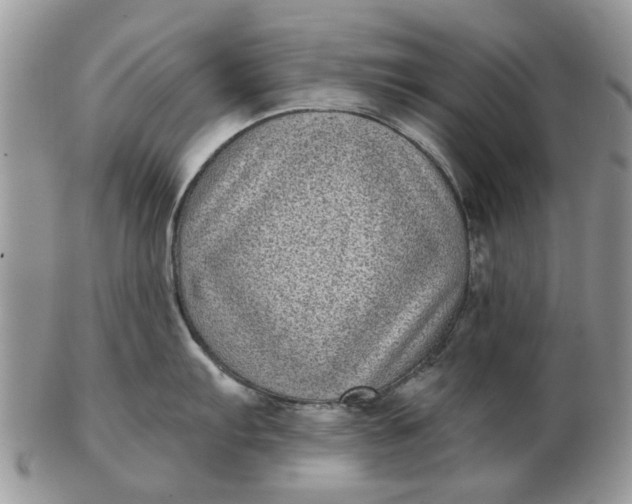 X0000102801103200809021131