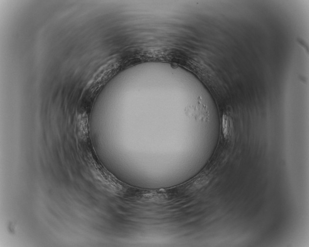 X0000102801107200809021130