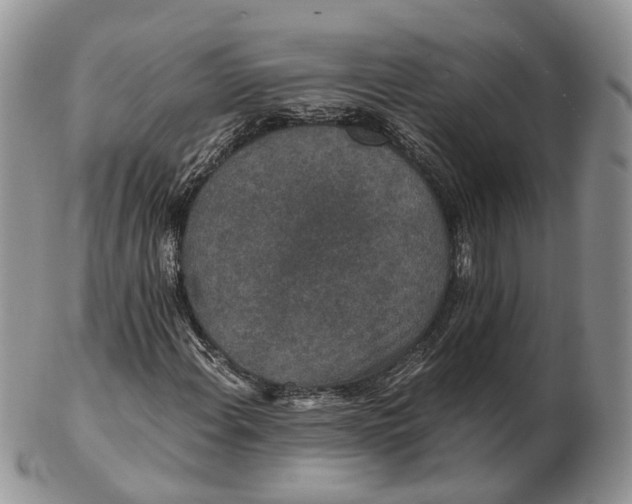 X0000102801108200809021130