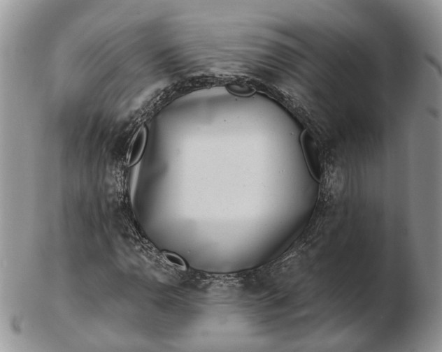 X0000102801110200809021130