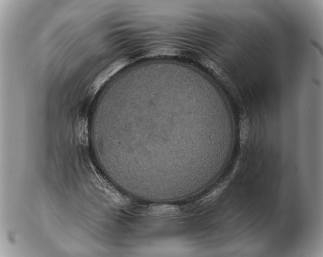 X0000102801113200809021130