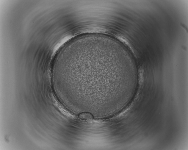 X0000102801114200809021130