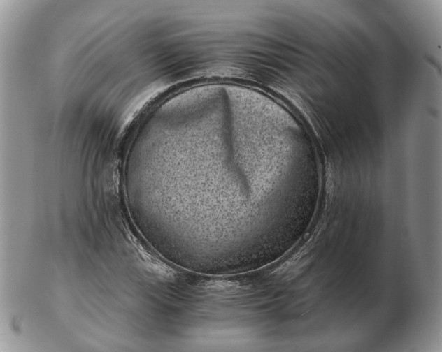 X0000102801115200809021130