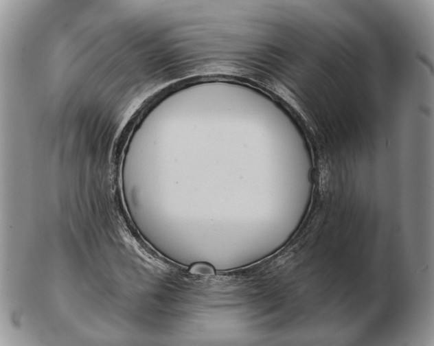 X0000102801116200809021130