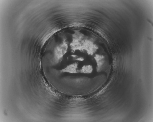 X0000102801117200809021130