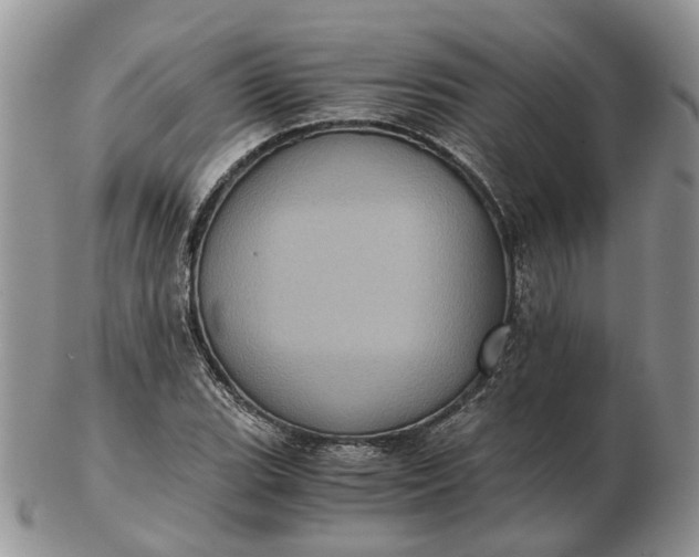 X0000102801119200809021130