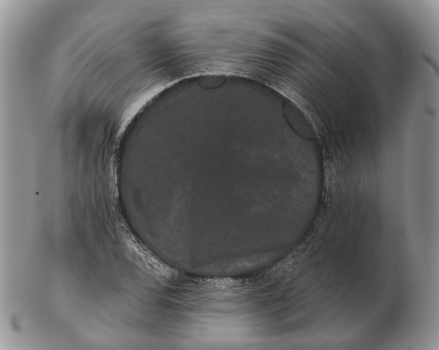 X0000102801120200809021130