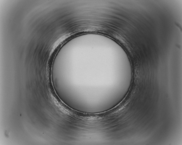 X0000102801122200809021130