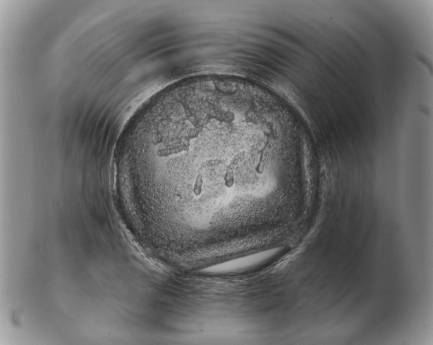 X0000102801125200809021130