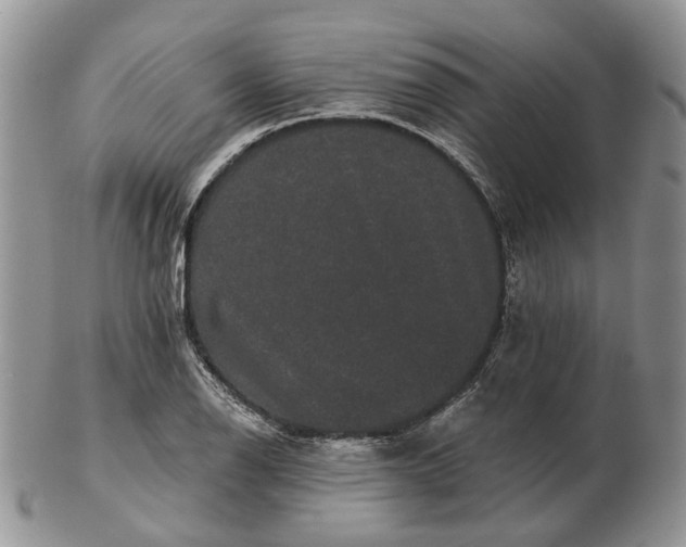 X0000102801126200809021130