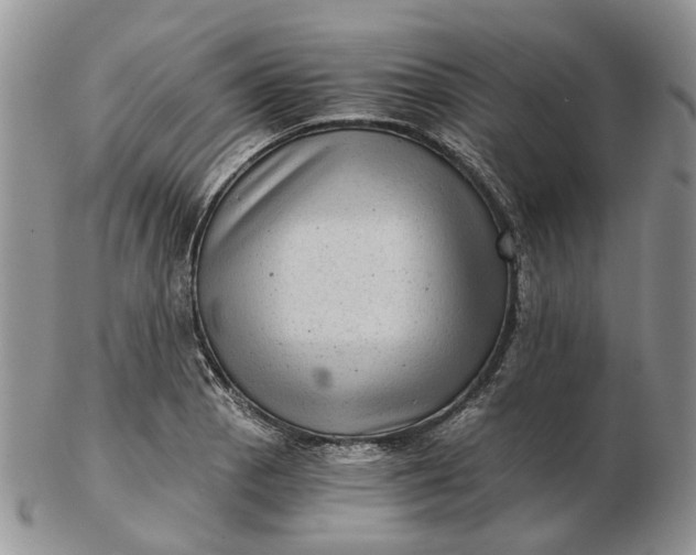 X0000102801129200809021130