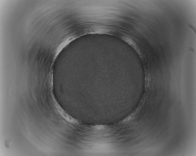 X0000102801130200809021130