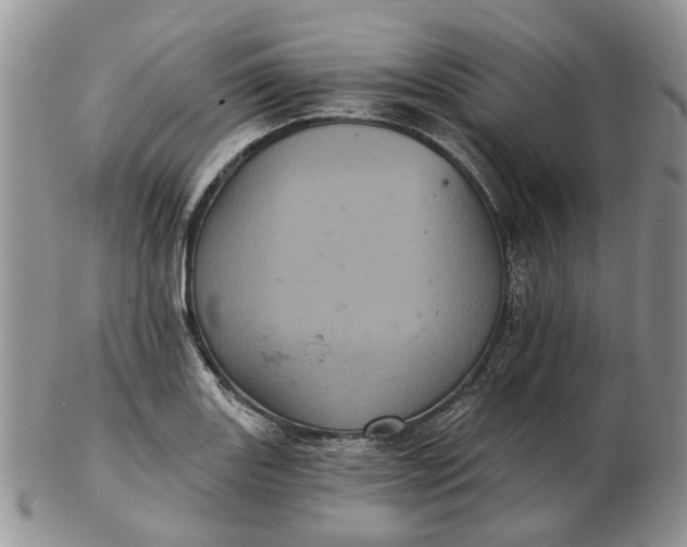 X0000102801131200809021130