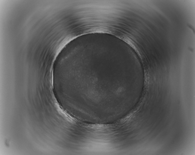 X0000102801132200809021130