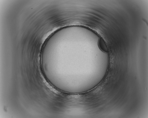 X0000102801134200809021130