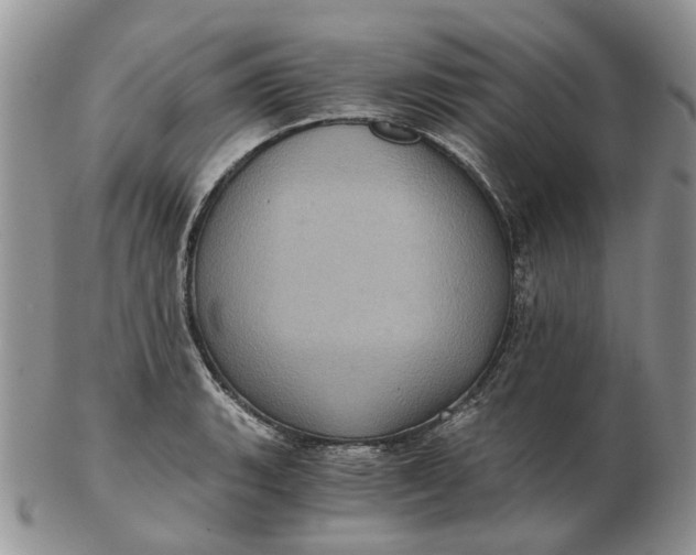 X0000102801135200809021130