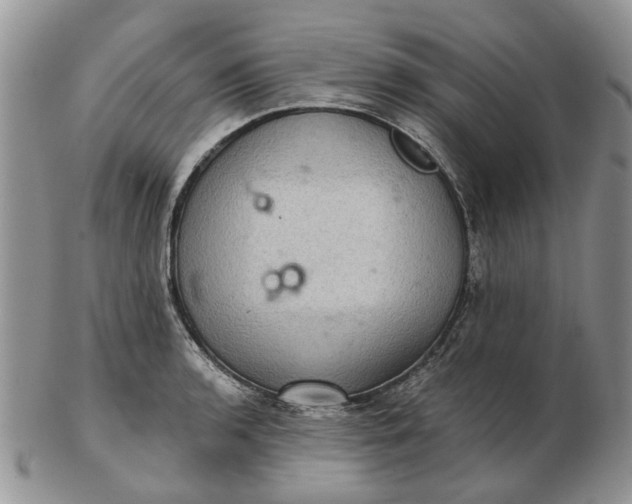 X0000102801136200809021130