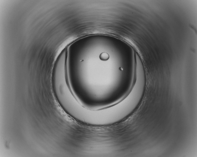 X0000102801138200809021131