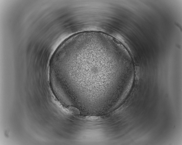 X0000102801140200809021131