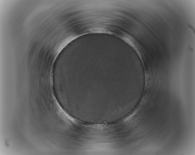 X0000102801141200809021131