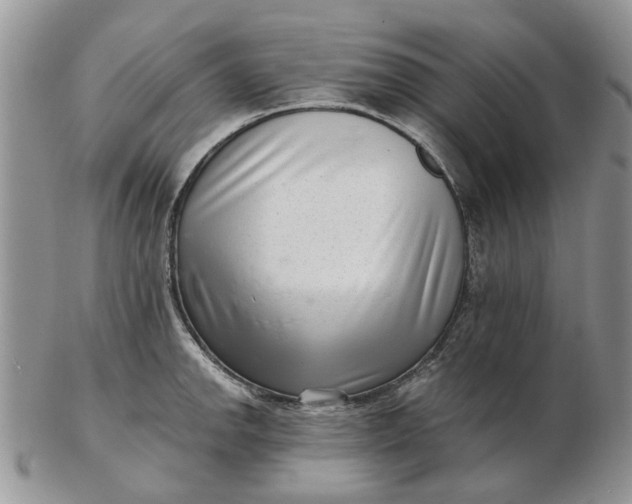 X0000102801142200809021131