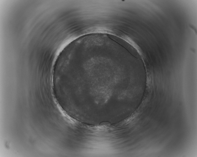 X0000102801144200809021131