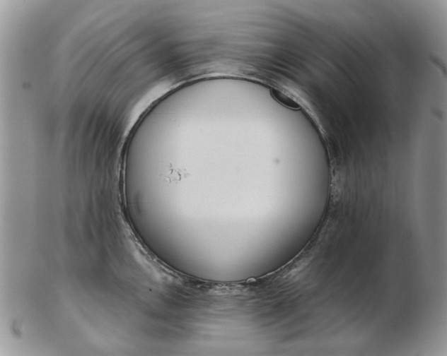 X0000102801146200809021131