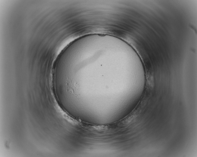 X0000102801147200809021131