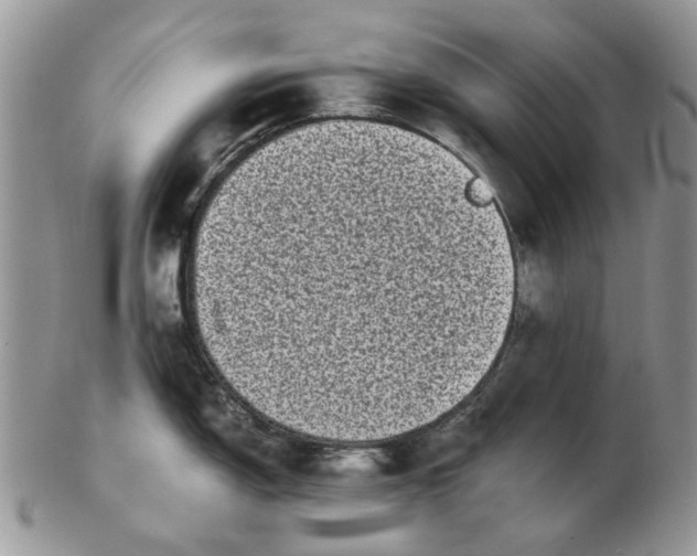 X0000102801150200809021131