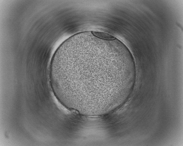 X0000102801152200809021131