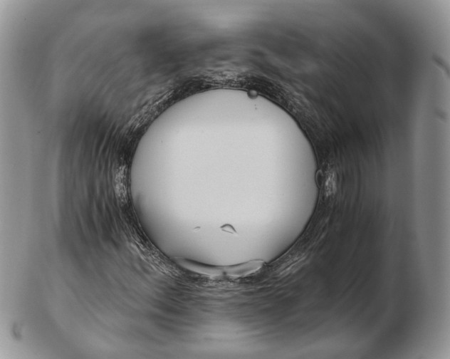 X0000102801156200809021130